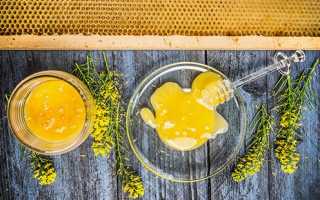Полезные свойства и противопоказания рапсового меда: как использовать «живой» нектар для бодрости, против стресса, ангины и кожных патологий