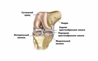 Латеральный коленный мениск