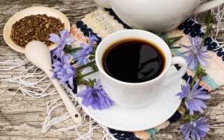 Полезные свойства и противопоказания цикория: кофе, который лечит