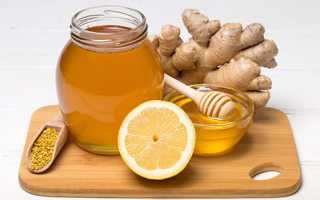 Имбирь с лимоном и медом: рецепт, польза для иммунитета и терапевтические возможности десерта