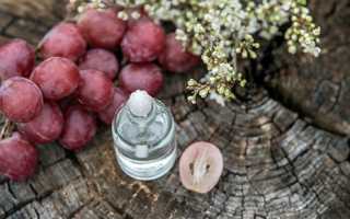 Полезные свойства и противопоказания масла виноградных косточек: значение в кулинарии, медицине, косметологии