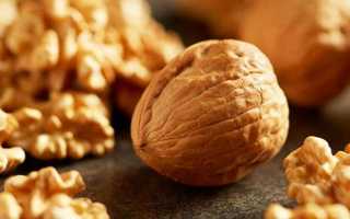 Грецкий орех: полезные свойства для мозга и не только, противопоказания