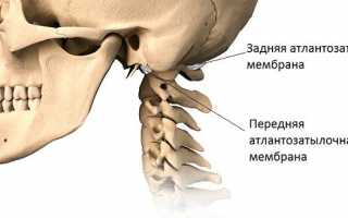 Атлантозатылочный сустав